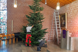 Der vier bis fnf Meter hoher Weihnachtsbaum wird vorn in der Trinitatiskirche aufgebaut.