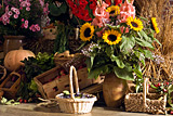 Tonkrüge mit Sonnenblumen, Astern und Gladiolen, Weidenkörbe mit Gemüse und Obst