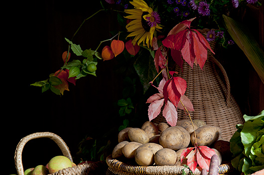 Ein Arrangement aus Früchten, Blumen und farbigen Blättern im Altarraum der Trinitatiskirche.