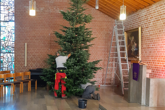 Der vier bis fünf Meter hoher Weihnachtsbaum wird vorn in der Trinitatiskirche aufgebaut.