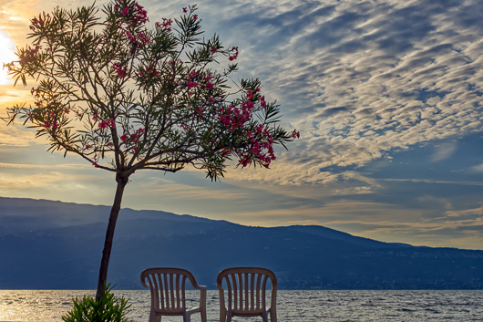 Zwei leere Stühle stehen am Abend unter einem Baum am Gardasee und laden zum Meditieren ein.