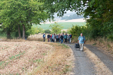 Die Teilnehmerinnen und Teilnehmer beim Wandern auf einem Weg am Waldrand.